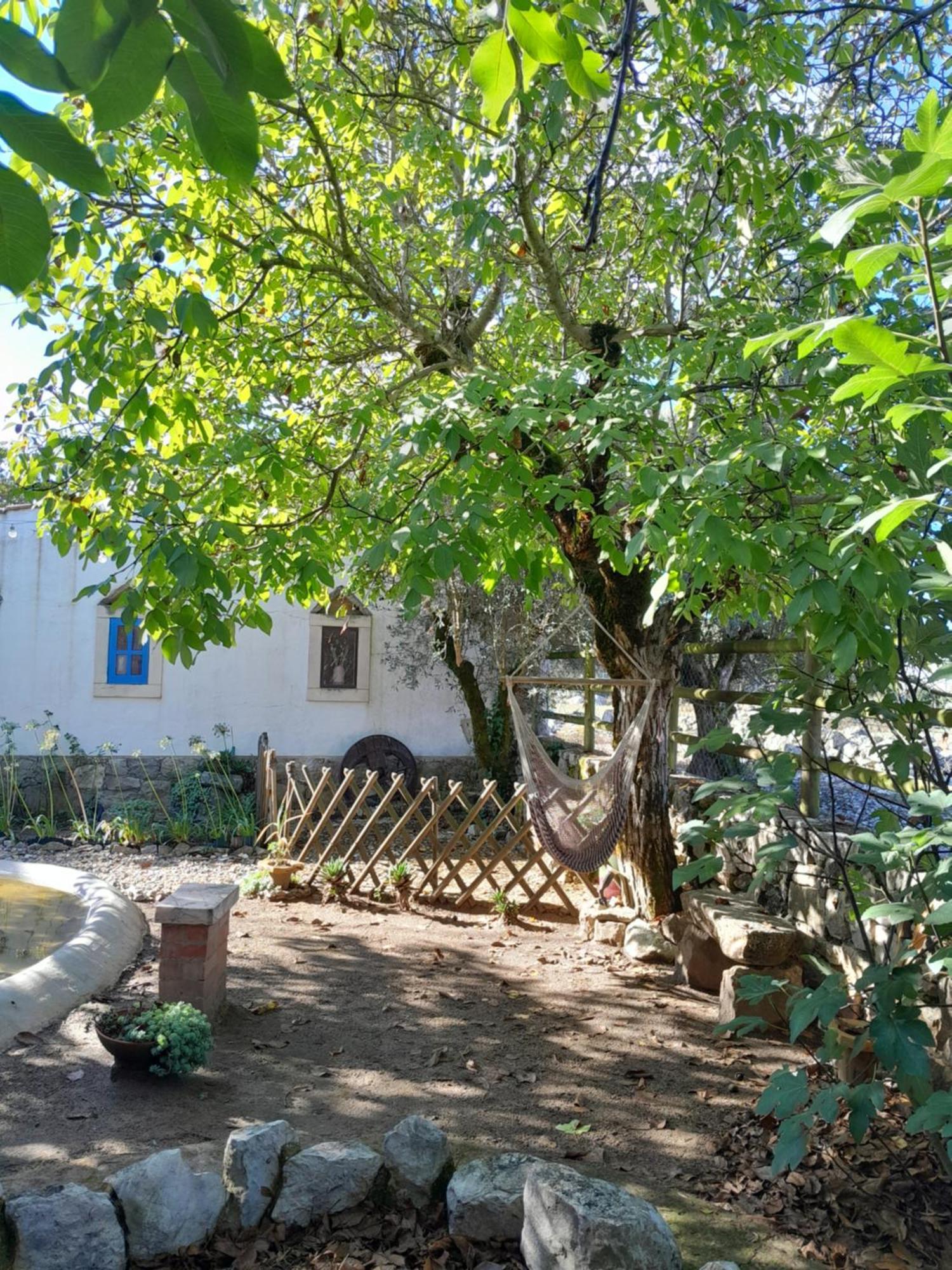 Refugio Das Artes Guesthouse Porto de Mós Exteriör bild